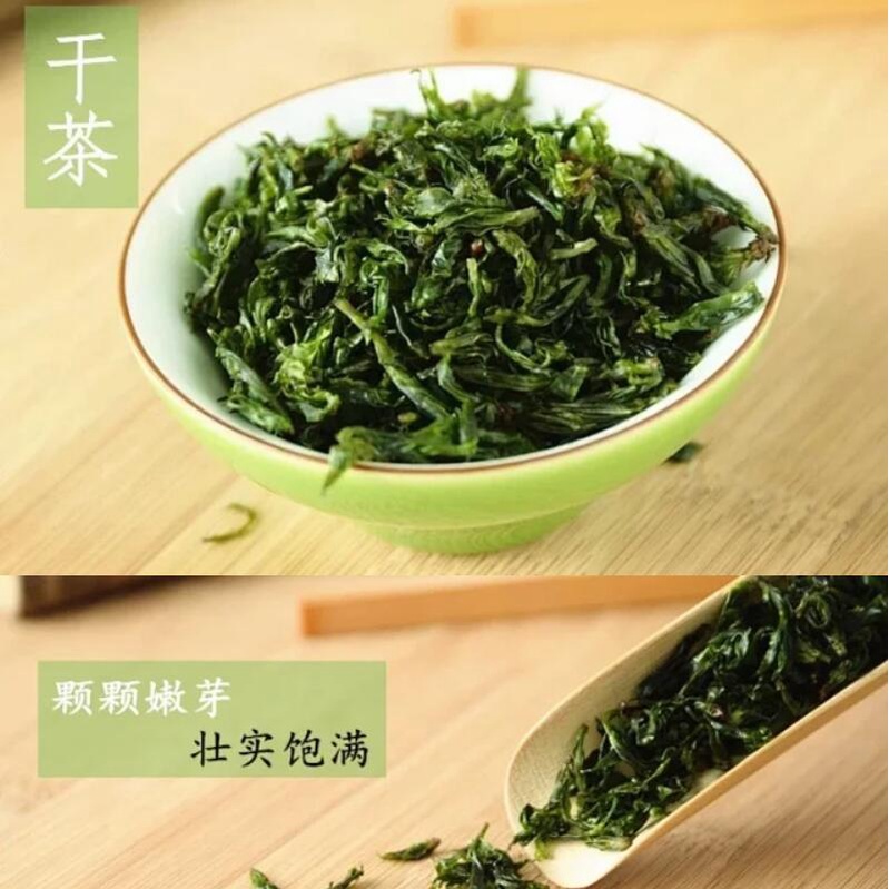 山水峨眉苦丁茶正品特級2021新茶青山綠水茶小葉苦丁茶特級嫩芽頭