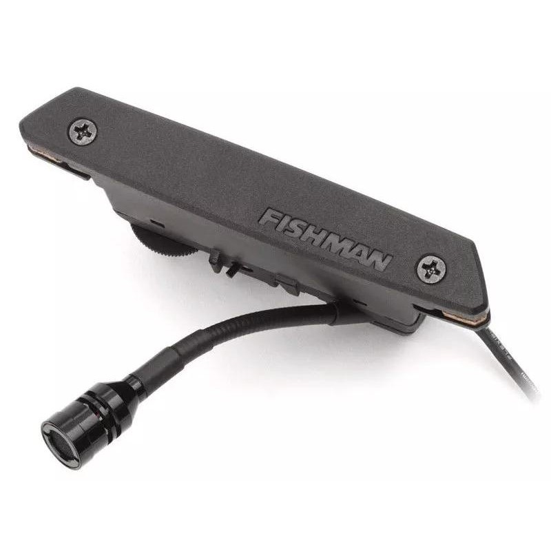 Rare Earth Fishman的價格推薦- 2023年7月| 比價比個夠BigGo