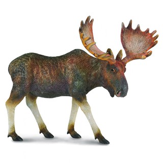 COLLECTA動物模型 - 駝鹿 < JOYBUS >