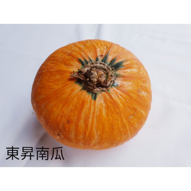東昇南瓜小 10克 10 80元 蝦皮購物