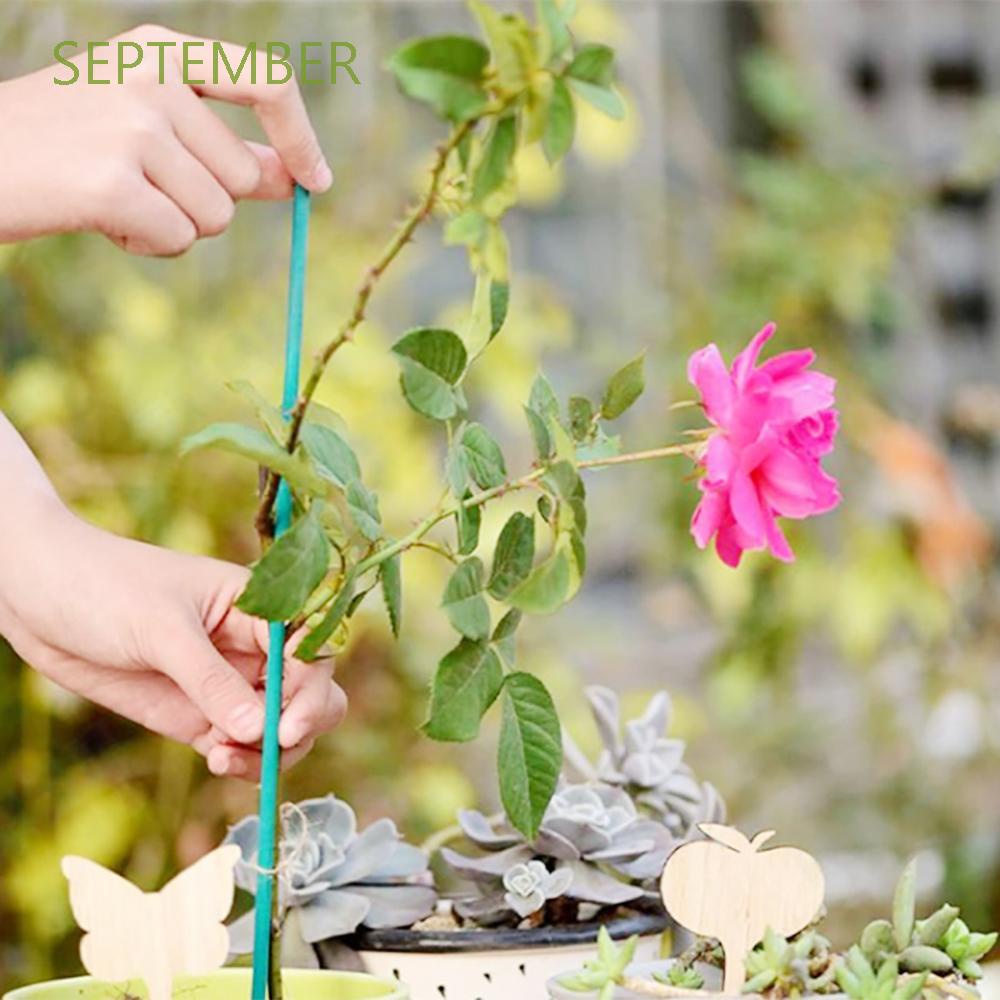 9 月綠色花園用品堅固植物樁竹棒木植物支撐種植植物莖40cm 用於花木桿 蝦皮購物