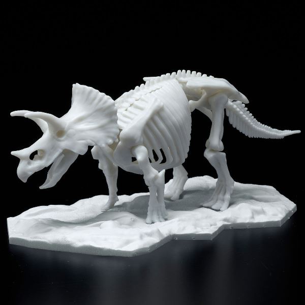 【BANDAI 】組裝模型 恐龍組裝模型 LIMEX骨骼 三角龍