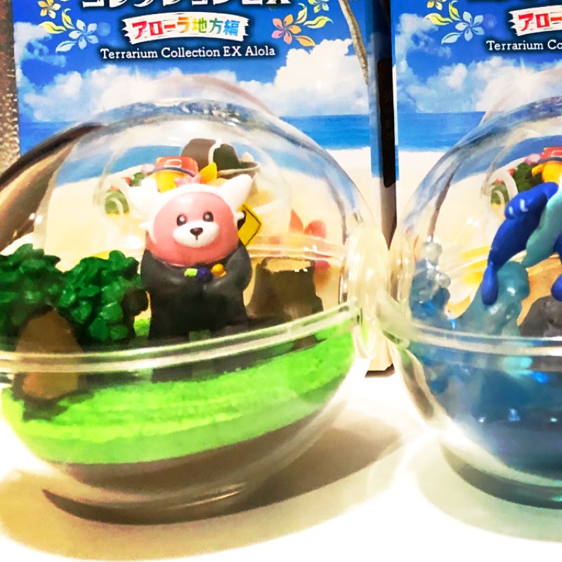 特價‼️ 神奇寶貝 生態球系列 阿羅拉 番外篇 穿著熊 Re-MeNT 盒玩 食玩