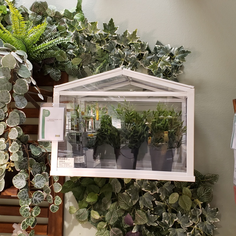 新品上市小蝸牛宜家ikea索克爾塑料制溫室罩多肉綠植保溫罩防風陽臺花房專用 蝦皮購物