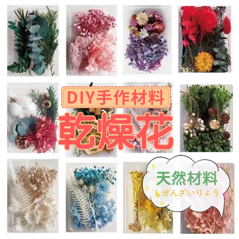 【快速出貨】 乾燥花DIY材料包 乾燥花 繽紛天然乾燥花 永生花 乾燥花材 植物果實 花藝材料包 浮游花 綜合材料 浮油