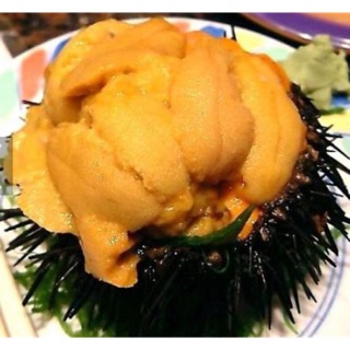 翡翠花枝排5入裝 採用澎湖花枝海菜 全館2500免運 蝦皮購物