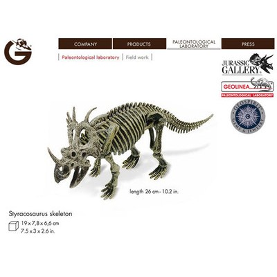 GEOWORLD 恐龍 骨架模型 仿真動物 JURASSIC WORLD 侏儸紀世界 侏儸紀公園  侏羅紀 三角龍 暴龍