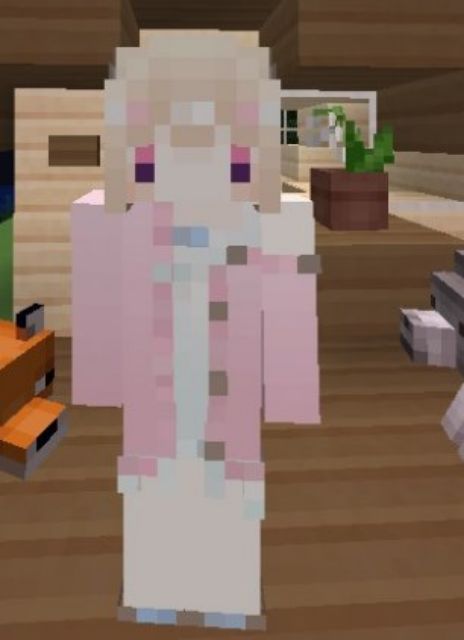 委託繪制 麥塊個人skin 客製我的世界當個創世神minecraft 皮膚外觀造型 蝦皮購物