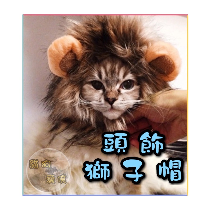 台灣現貨🌻貓狗愛僕🌻全新 寵物獅子頭套 頭飾 毛孩髮飾 寵物裝飾 帽子 貓頭套 寵物 獅子 寵物頭飾 寵物變身 髮飾 帽