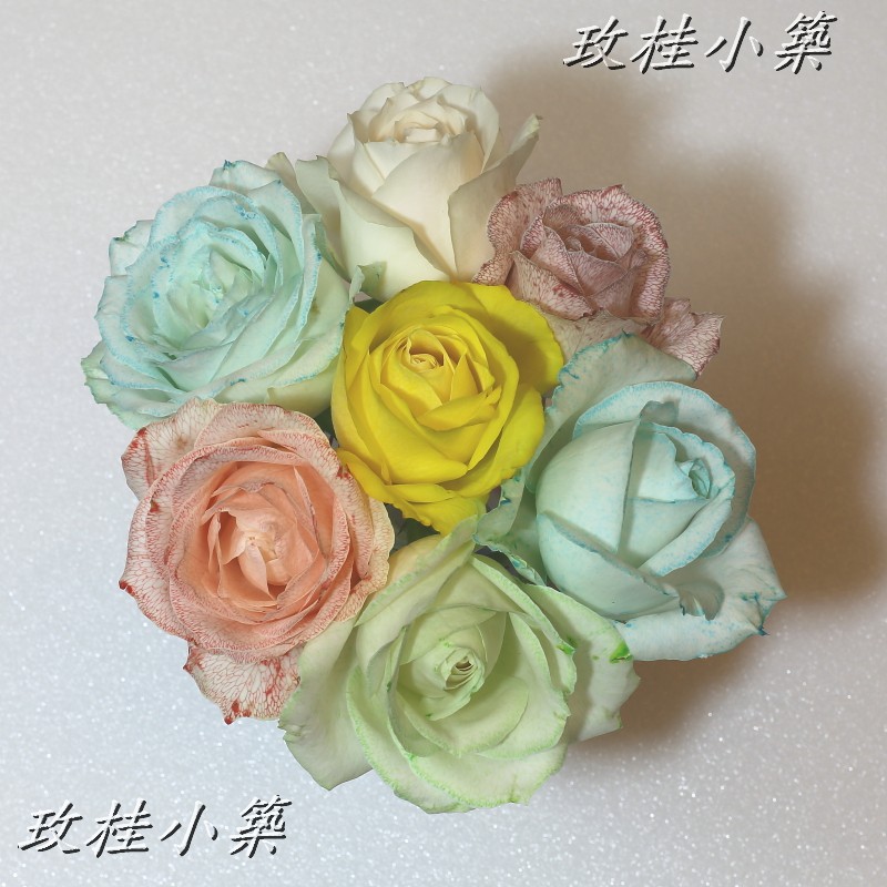 玫桂小築 鮮花染色劑染色劑色水七彩diy花材蒸散作用毛細現象 蝦皮購物