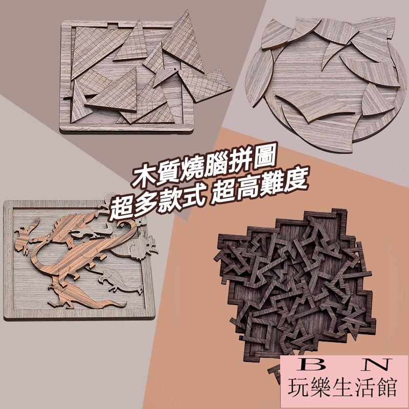 拼圖 益智拼圖 puzzle 10級拼圖 木質拼圖 燒腦拼圖 超難拼圖 最難拼圖 高難度 益智玩具【BN玩樂生活館】