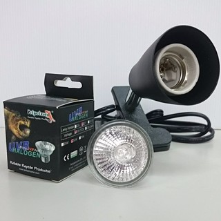 螺旋 迷你夾燈+uvb 3.0 燈泡50w 一組 曬背燈 保溫燈 加熱燈 爬蟲 寵物 烏龜 鳥 鼠