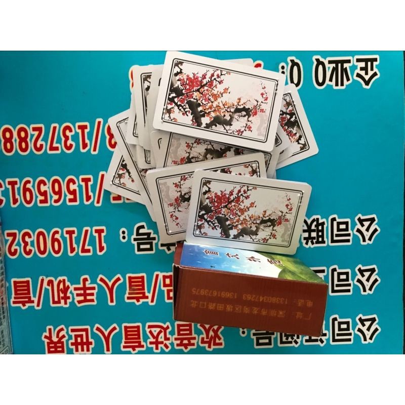 阿里山專櫃 盲人用品盲人專用塑料牌盲文撲克牌視障盲童娛樂凸點 蝦皮購物