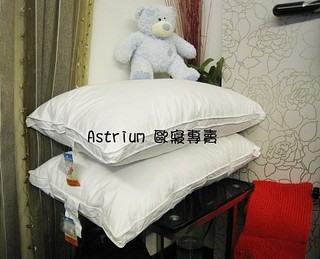羽絨枕六星級飯店指定款(愛團購聯盟，臺灣製) 2個下標區