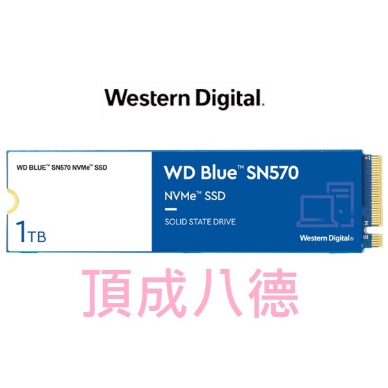 WD 藍標 SN570 250GB 500GB 1TB SSD PCIe NVMe 固態硬碟 250G 500G 1T