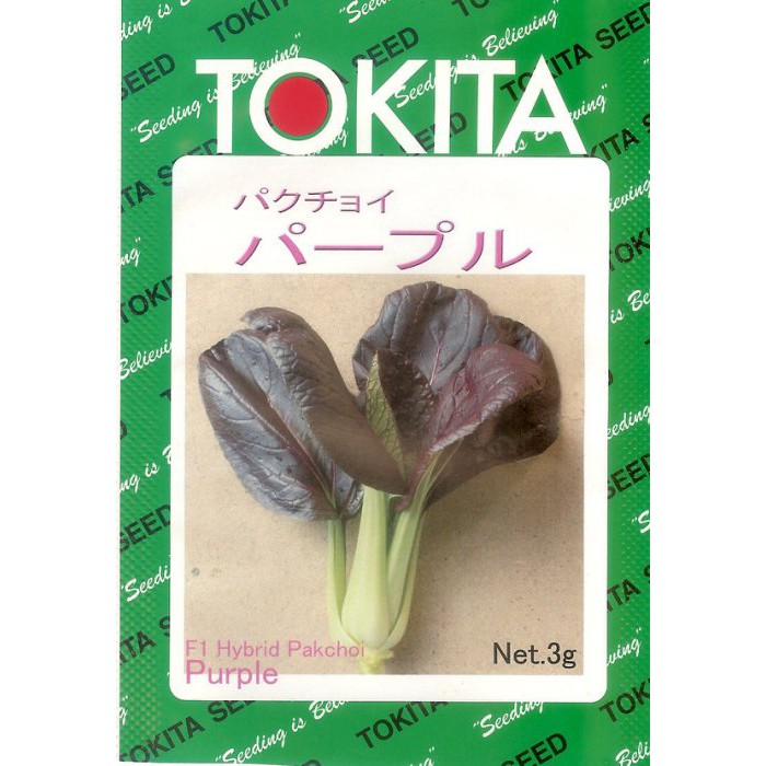 【蔬菜種子S202】紫葉青江菜~~稀有品種，葉子是紫色的，很漂亮！