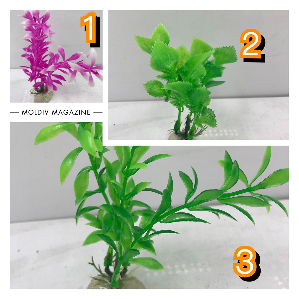 邦邦水族 仿真水草 假水草 塑膠水草 仿真 模擬水草 塑膠假花 魚缸造景 水族 魚缸 魚缸飾品 水族箱 造景 裝飾 蝦皮購物