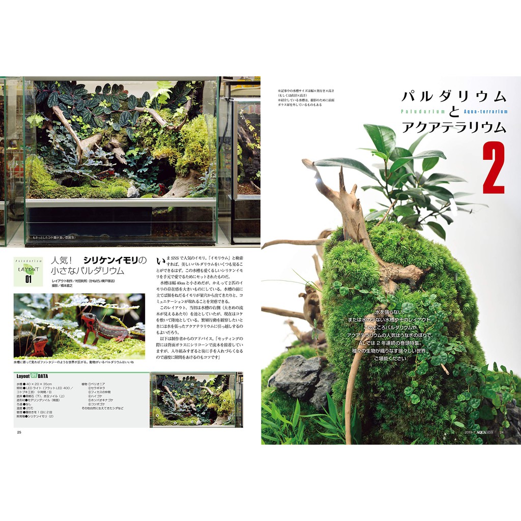 Aqua Life 19年7月號 蝦皮購物