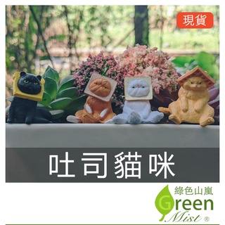 吐司貓咪 微景觀 拍攝道具 生態瓶裝飾 園藝造景 苔蘚盆栽裝飾 多肉植物裝飾【綠色山嵐】