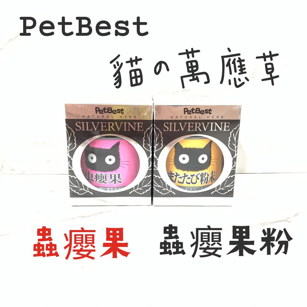Petbest 貓の萬應藥蟲癭果蟲癭果粉有機貓薄荷草貓薄荷草 花苞木天蓼枝熱風乾燥粗枝 中枝 細枝