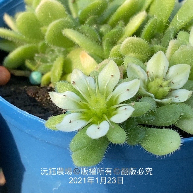農場鞋 飛比價格 優惠價格推薦 22年3月