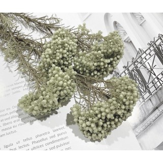 小米花 優惠推薦 22年12月 蝦皮購物台灣