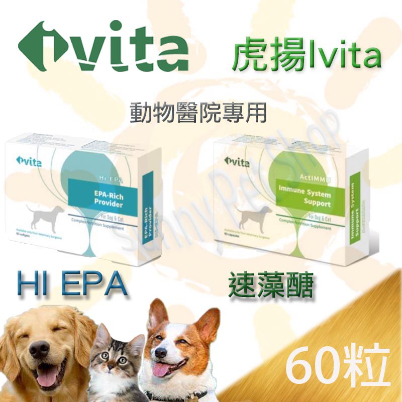 [可刷卡免運]Ivita Immune System 速藻醣/H EPAi EPA-Rich 似藻康留.瑞格敏.癌破錠