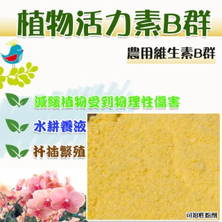 植物活力素B群維生素（可溶性粉劑）500g ~ 減緩植物受到物理性傷害（修剪、移植、泡水、斷根），迅速恢復活力