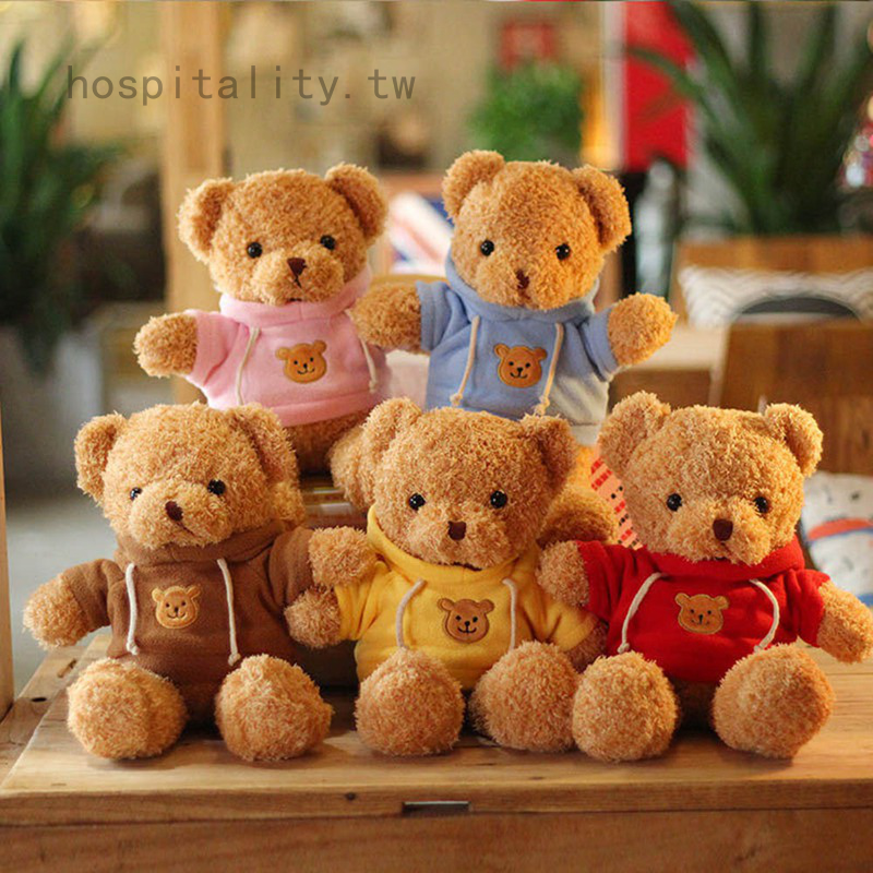 彩色衛衣小熊公仔泰迪熊毛絨玩具 抱抱熊公仔小熊娃娃