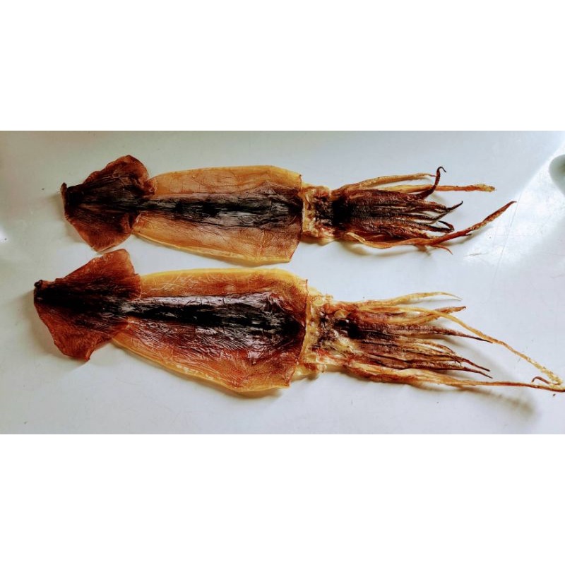 阿根廷魷魚（特大125~145克10尾送一）魷魚 魷魚乾 烤魷魚