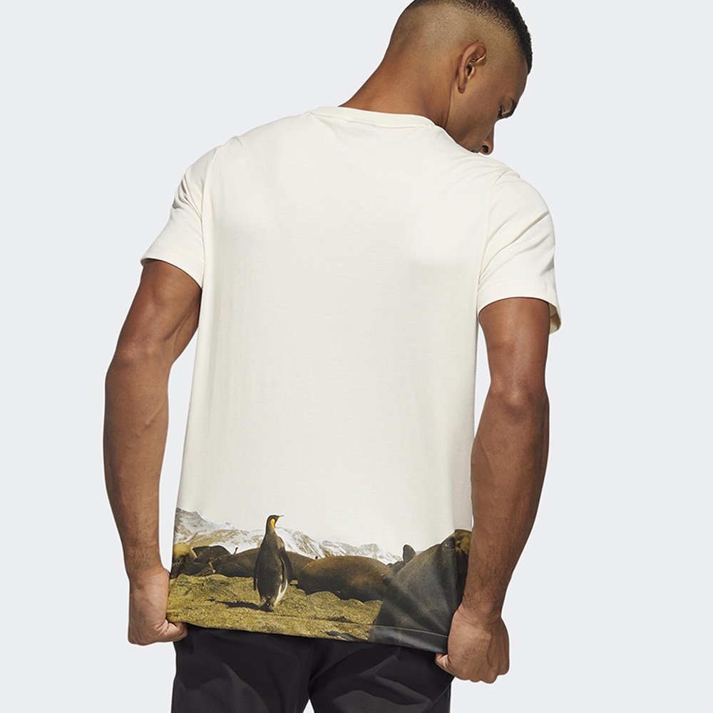 Adidas Terrex x BBC Earth 男裝 短袖 T恤 自然 生態 企鵝 棉 米黃【運動世界】HE5252