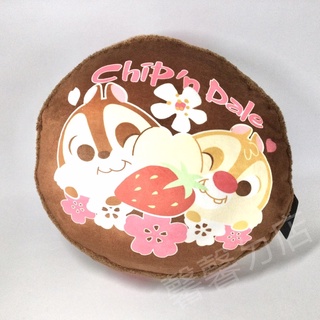 🎉全新［Disny迪士尼系列］花栗鼠 奇奇&蒂蒂（Chip 'n' Dale）馬卡龍抱/靠枕 .....⭐️馨馨ㄉ店⭐️