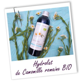 【法國AROMA-ZONE】有機羅馬洋甘菊純露 HYDROLAT DE CAMOMILLE ROMAINE BIO