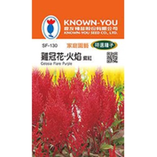 《農友種苗》特選花卉種子 SF-130 雞冠花-火焰 紫紅