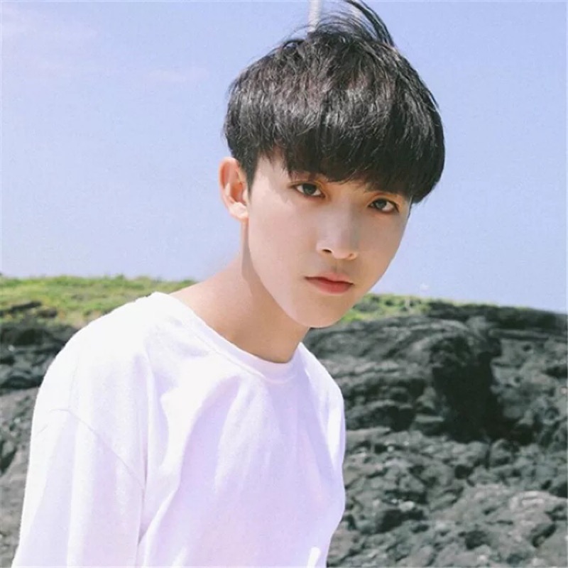 外貌協會 過年也出貨 網紅同款韓版帥氣假髮男逼真自然短直髮男士髮型設計學生黑色蓬鬆 蝦皮購物