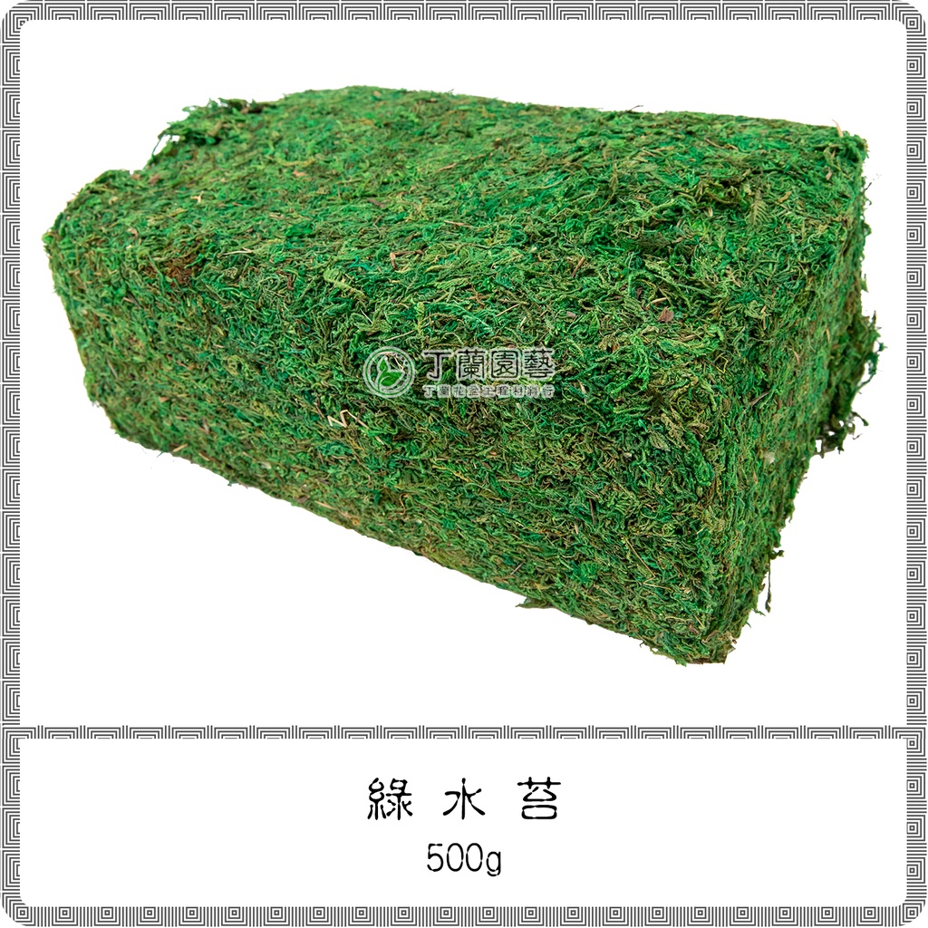綠水苔500g 染色綠水苔綠水草蘭花插花盆栽造景 蝦皮購物