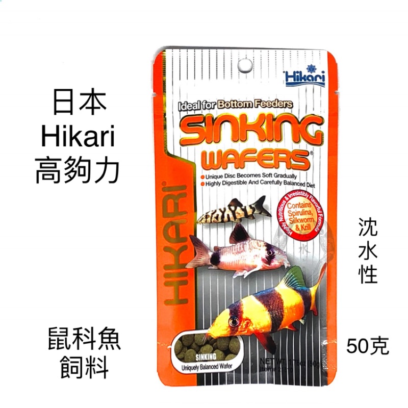 鼠科魚飼料 高夠力 Hikari 50g 沉水 底棲 異型 鯰魚 鼠魚 鰍科類 底棲性 飼料