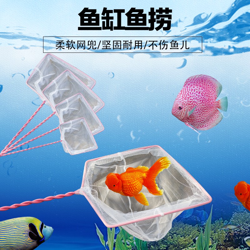 秒殺價 魚缸家用大號觀賞金魚網水族箱漁撈網兜方形手抄網戶外小魚網細眼 蝦皮購物