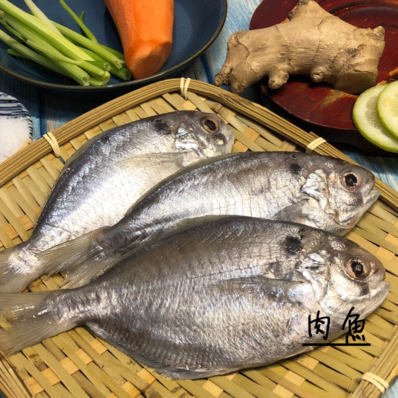 【美味小肉魚】 1kg (10-12 尾) / 肉質細緻 / 味道鮮美 / 環海生鮮 / 基隆漁船捕撈 / 肉鯧魚