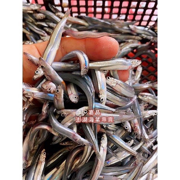 生丁香#生的丁香魚#正港澎湖新鮮#活涷#丁香魚#赤崁丁香魚#高鈣小魚#炸 