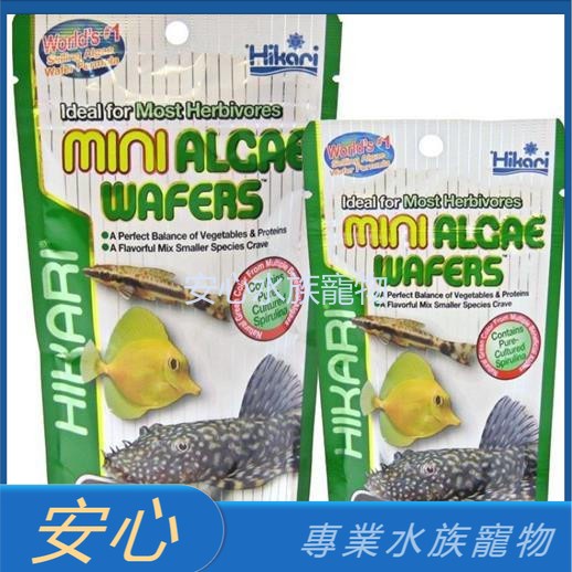 [安心水族] 日本 Hikari 高夠力 異型飼料 小粒-22g/85g 沉水性 底棲魚飼料 HK-21403