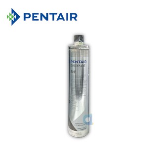 PENTAIR EVERPURE BH2銀離子抑菌抑垢濾心 美國原裝進口 bh2