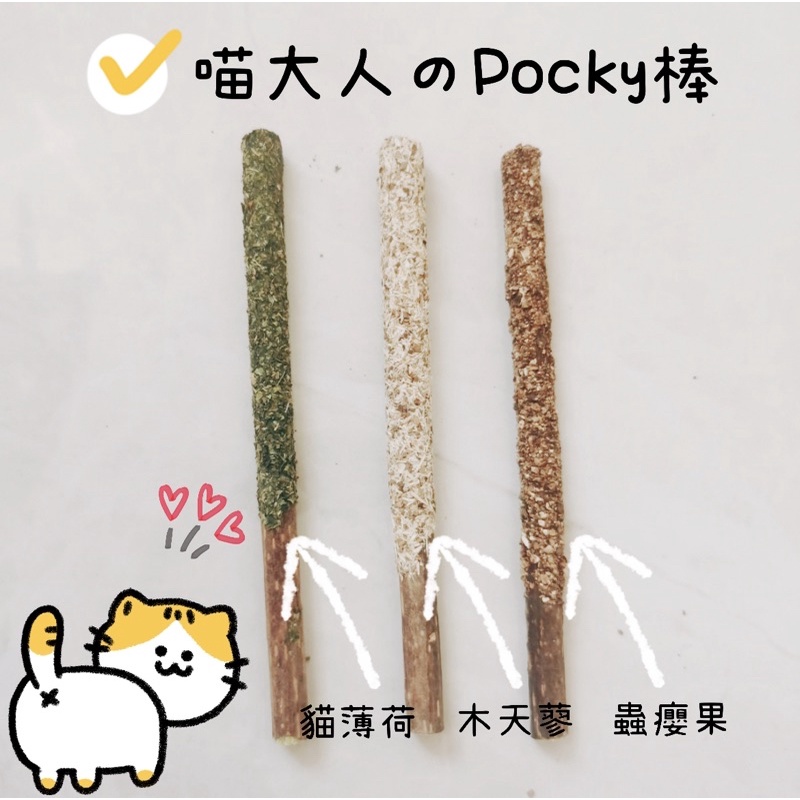 【 貓薄荷 pocky棒 】貓薄荷 木天蓼棒 貓玩具 貓零嘴 蟲癭果棒 磨牙棒 貓薄荷粉 虫癭果粉 貓咪紓壓 WTF