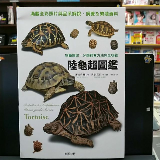 【樂辰書店】陸龜超圖鑑：物種解說、分類飼育方法完全收錄 海老沼 剛/著 _台灣東販出版