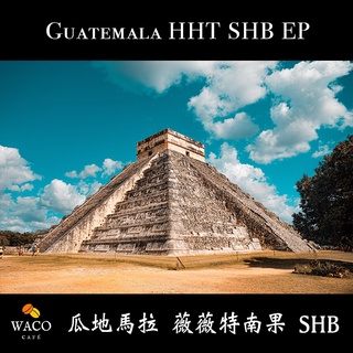 韋克精品咖啡 【瓜地馬拉 薇薇特南果 SHB】現烘咖啡豆 手沖 虹吸 冰滴 摩卡壺 水洗 日曬 單品