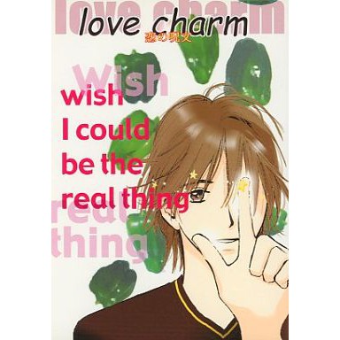 Bl商業番外 Love Charm 恋の呪文 Earth Bone 依田沙江美 蝦皮購物