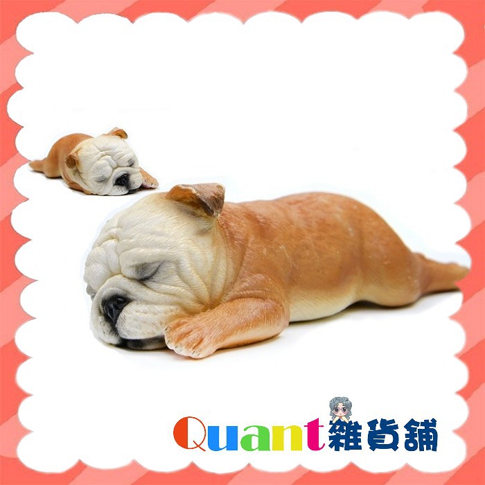 ∮Quant雜貨舖∮┌日本盒玩┐XMMOS 爆睡犬 第二彈 睡眠動物 英國鬥牛犬 單售 E款黃色鬥牛犬-趴睡