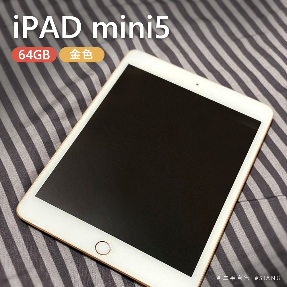 Apple iPad mini5 64G WIFI 二手品