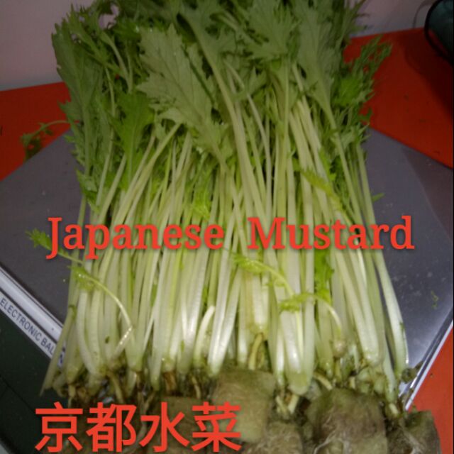京都水菜300克裝 蝦皮購物