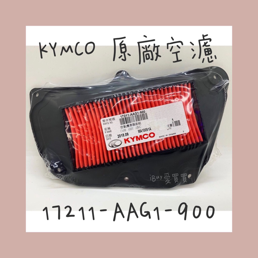 《愛買買》KYMCO光陽 原廠空濾 空氣濾芯 新G6